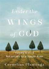 Under the Wings of God – Twenty Biblical Reflections for a Deeper Faith