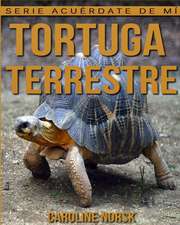 Tortuga Terrestre