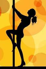 The Pole Dancer Journal