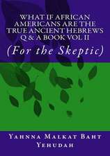 What If African Americans Are the True Ancient Hebrews Q & A Book Vol II