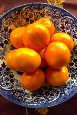 Orange Clementines in a Vintage Blue and White Bowl Journal