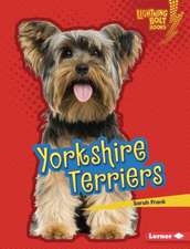 Yorkshire Terriers