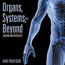 Organs, Systems, and Beyond | Anatomy and Physiology