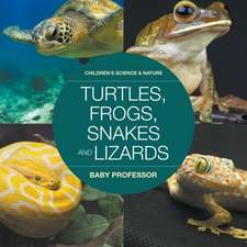 Turtles, Frogs, Snakes and Lizards | Children's Science & Nature