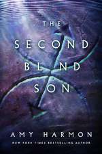 Second Blind Son