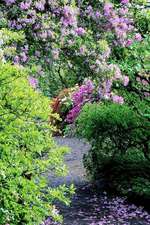 An Enchanted Path Through Flowers Crystal Springs Garden Portland Oregon Journal