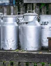 Jumbo Oversized Milk Urns on a Farm in Germany