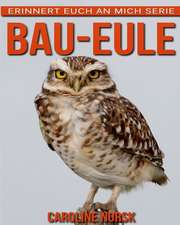 Bau-Eule