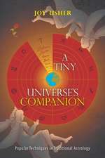 A Tiny Universe'S Companion