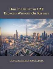 How to Uplift the UAE Economy Without Oil Revenue