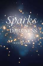 Sparks in Darkness
