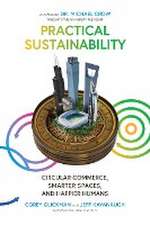 Practical Sustainability