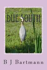 Due South