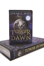 Tower of Dawn Miniature