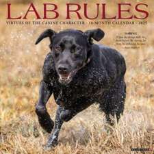 Lab Rules 2025 12 X 12 Wall Calendar