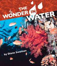 The Wonder in Water