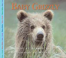 Baby Grizzly