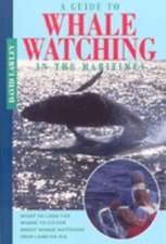 A Guide to Whale Watching in the Maritimes