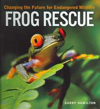 Frog Rescue