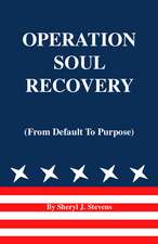 Operation Soul Recovery (from Default to Purpose)