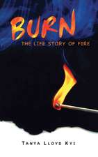 Burn: The Life Story of Fire