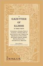 A Gazetteer of Illinois In Three Parts Containing a General View of the State, a General View of Each County, and a particular description of each town, settlement, stream, prairie, bottom, bluff, etc.; alphabetically arranged