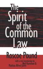 The Spirit of the Common Law