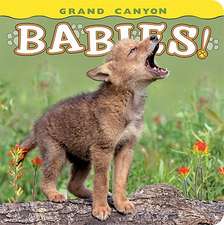 Grand Canyon Babies!