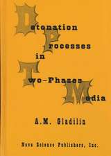 Detonation Process in Two-Phase Media