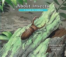 About Insects