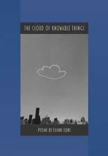 The Cloud of Knowable Things