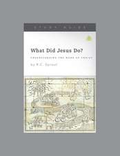 What Did Jesus Do?