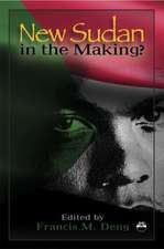 New Sudan in the Making?: Essays on a Nation in Painful Search of Itself