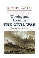 Winning and Losing in the Civil War: Essays and Stories