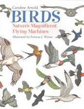 Birds: Nature's Magnificent Flying Machines