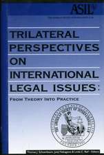 Trilateral Perspectives on International Legal Issues: From Theory Into Practice