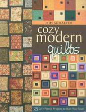 Cozy Modern Quilts: 23 Easy Pieced Projects to Bust Your Stash