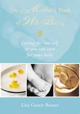 The Mother's Book of Well-Being: Caring for Yourself So You Can Care for Your Baby