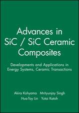 Advances in SiC/SiC Ceramic Composites – Developments and Applications in Energy Systems: Ceramic Transactions V144