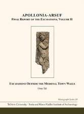 Apollonia–Arsuf: Final Report of the Excavations – Volume II: Excavations Outside the Medieval Town Walls