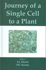 Journey of a Single Cell to a Plant