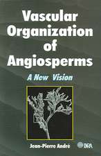 Vascular Organization of Angiosperms