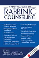 A Practical Guide to Rabbinic Counseling