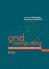 Grid Computing for Electromagnetics