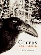 Corvus: A Life with Birds