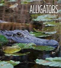 Alligators