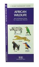 African Wildlife: An Introduction to Familiar Species