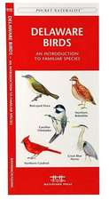 Delaware Birds: A Folding Pocket Guide to Familiar Species