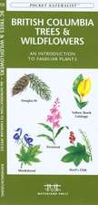 British Columbia Trees & Wildflowers: An Introduction to Familiar Plants