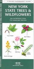 New York State Trees & Wildflowers: A Folding Pocket Guide to Familiar Species